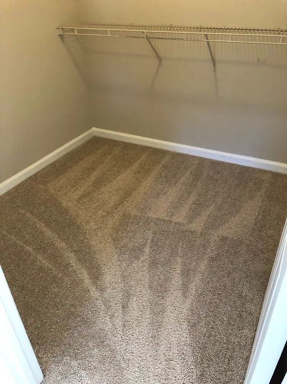 Fresh vacuum lines on carpet after recurring house cleaning in the Triangle, NC — Ever Clean House