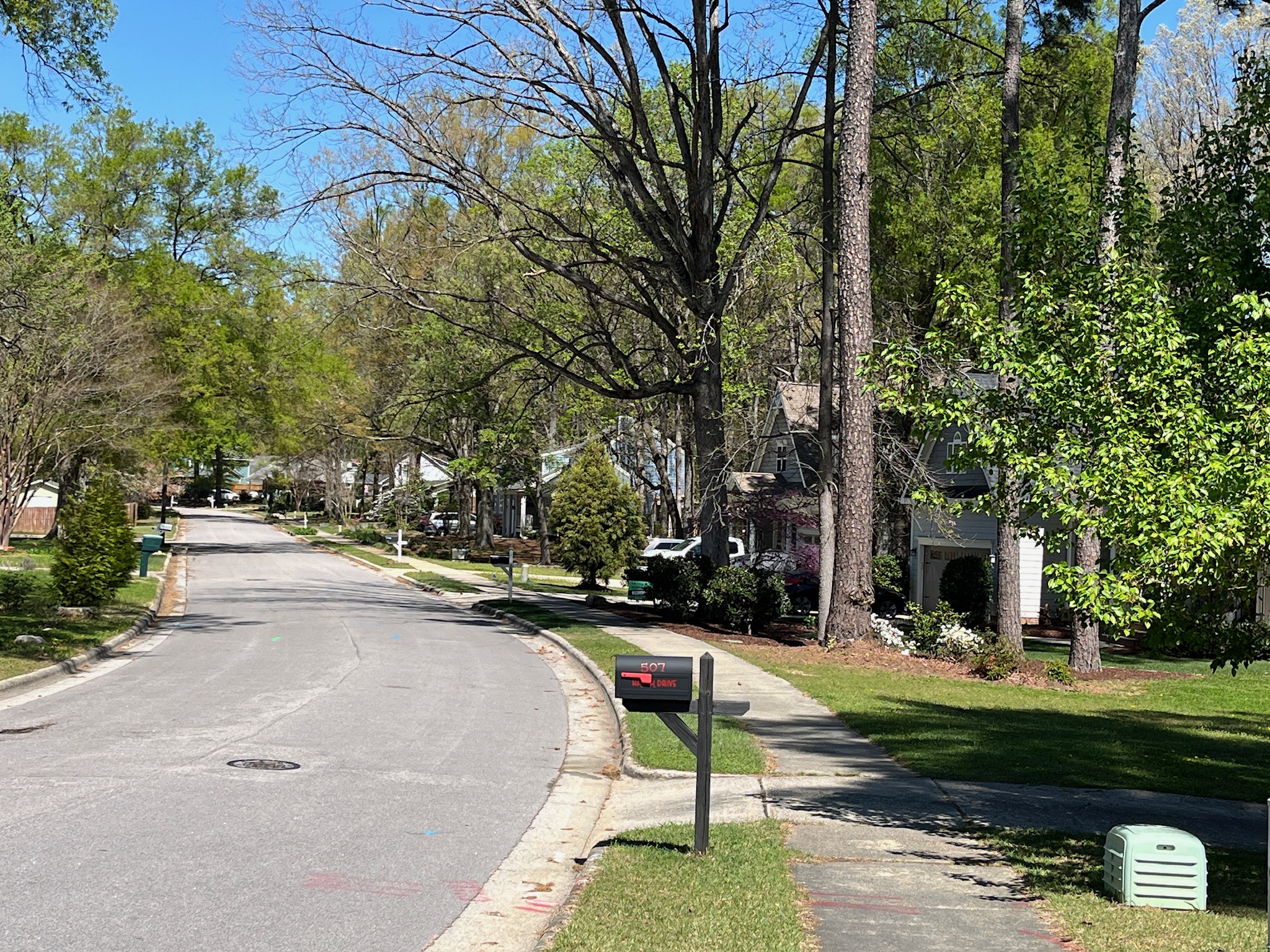Residential street with homes and trees in Cary, North Carolina