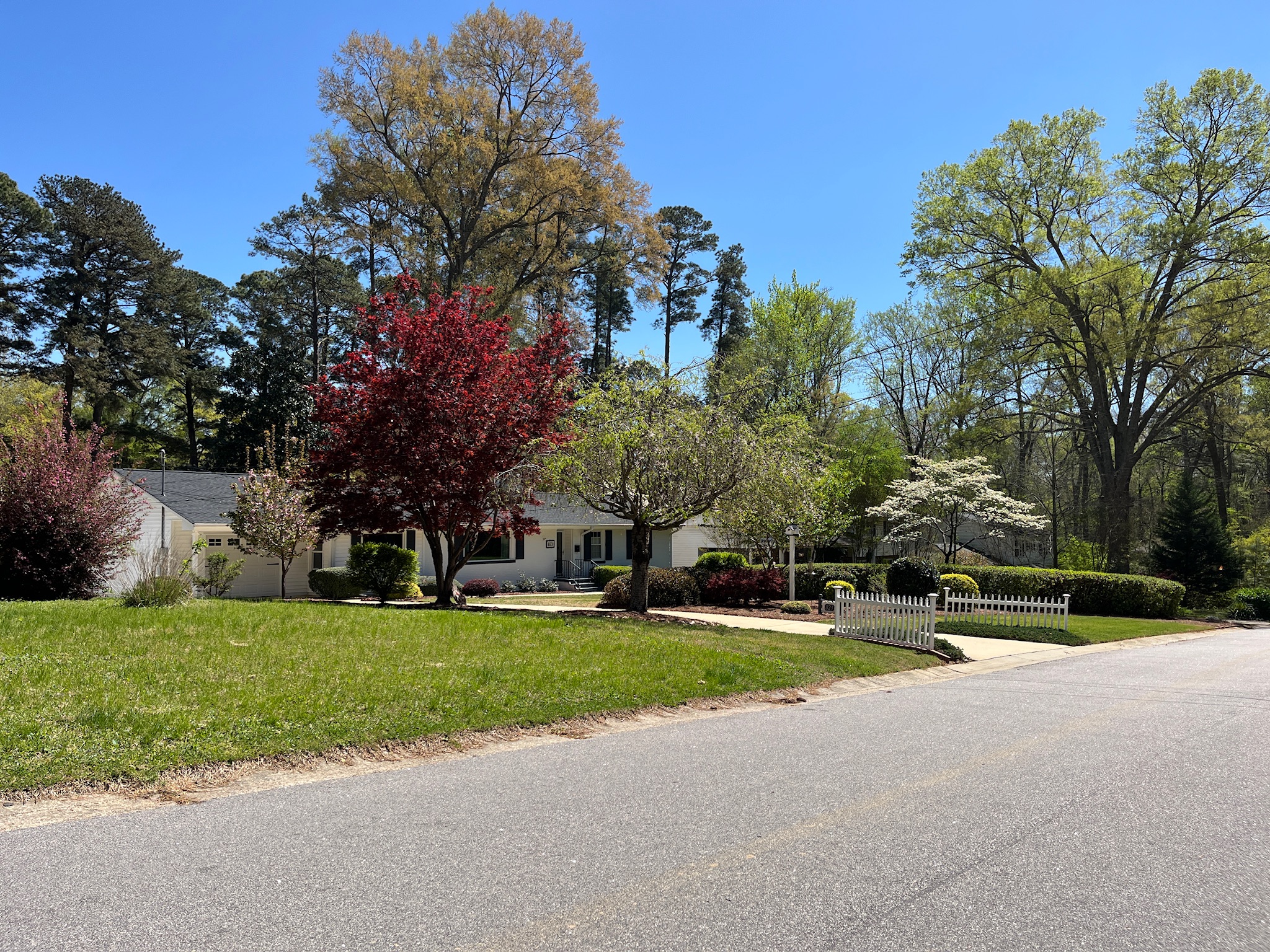 Suburban neighborhood with trees and single-family homes in Cary, North Carolina