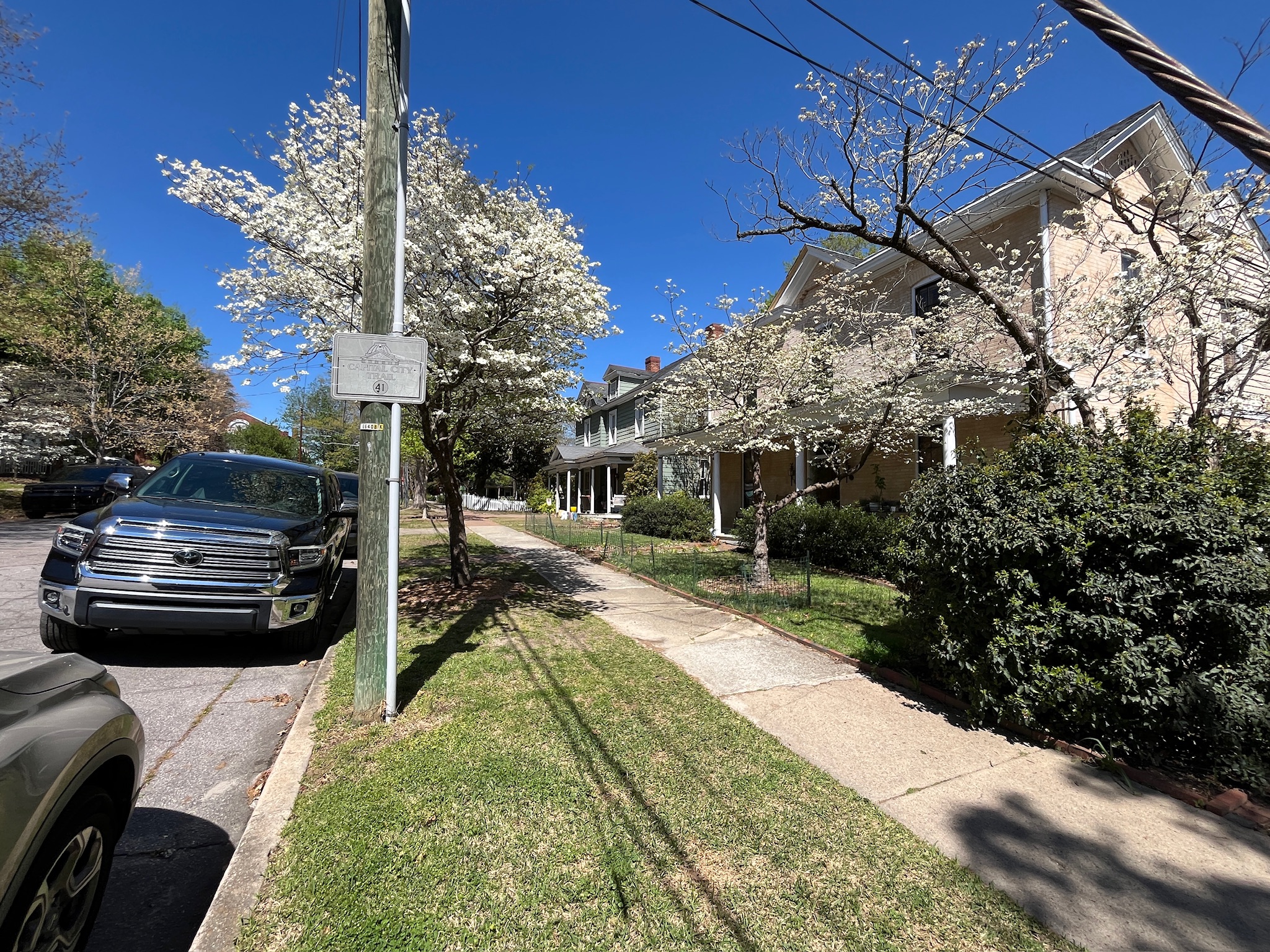 Residential street with flowering trees and parked cars in Raleigh, North Carolina